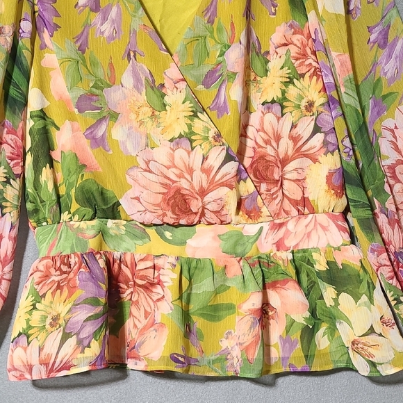 EXPRESS Floral V-Neck Long Sleeve Smocked Cuff Peplum Lined Blouse - Size Medium - Picture 4 of 12